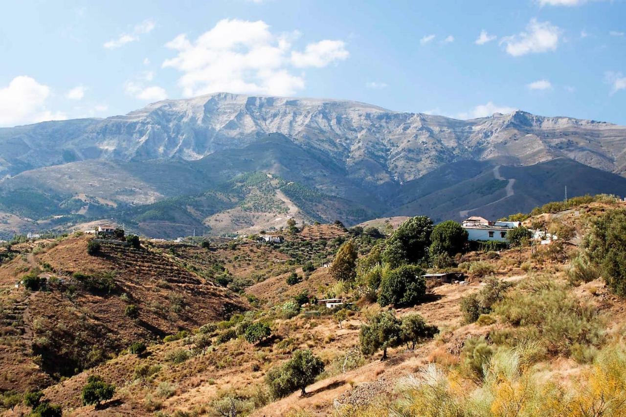 Finca Mariposa Apartment Sedella Екстериор снимка