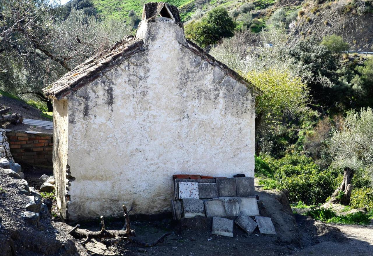 Finca Mariposa Apartment Sedella Екстериор снимка